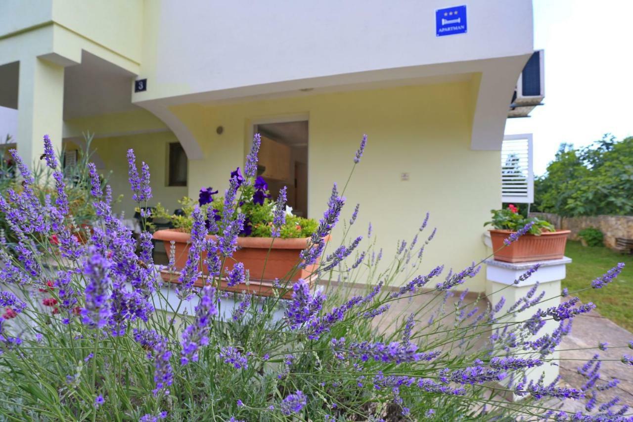 Apartments Romansa Zaton  Bagian luar foto